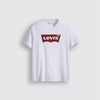 Graphic Set-in Neck T-shirt