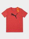 Puma PU0002