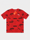 Puma PU0004
