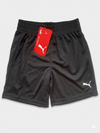 PUMA PU00067